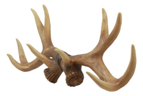 Rustic Hunter Rack Deer Skull Antler Wall Plaque Decor 10 Point