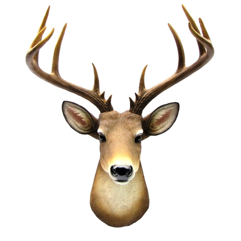 12 Point Buck Trophy Taxidermy Wall Decor Deer Head W/ Antlers Sculptu–  Ebros Gift
