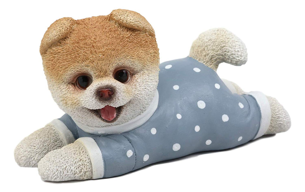 Ebros Polkadot Pajamas Boo The World's Cutest Pomeranian Dog