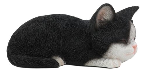 Lifelike Tuxedo Black And White Feline Kitten Cat Sitting On Its