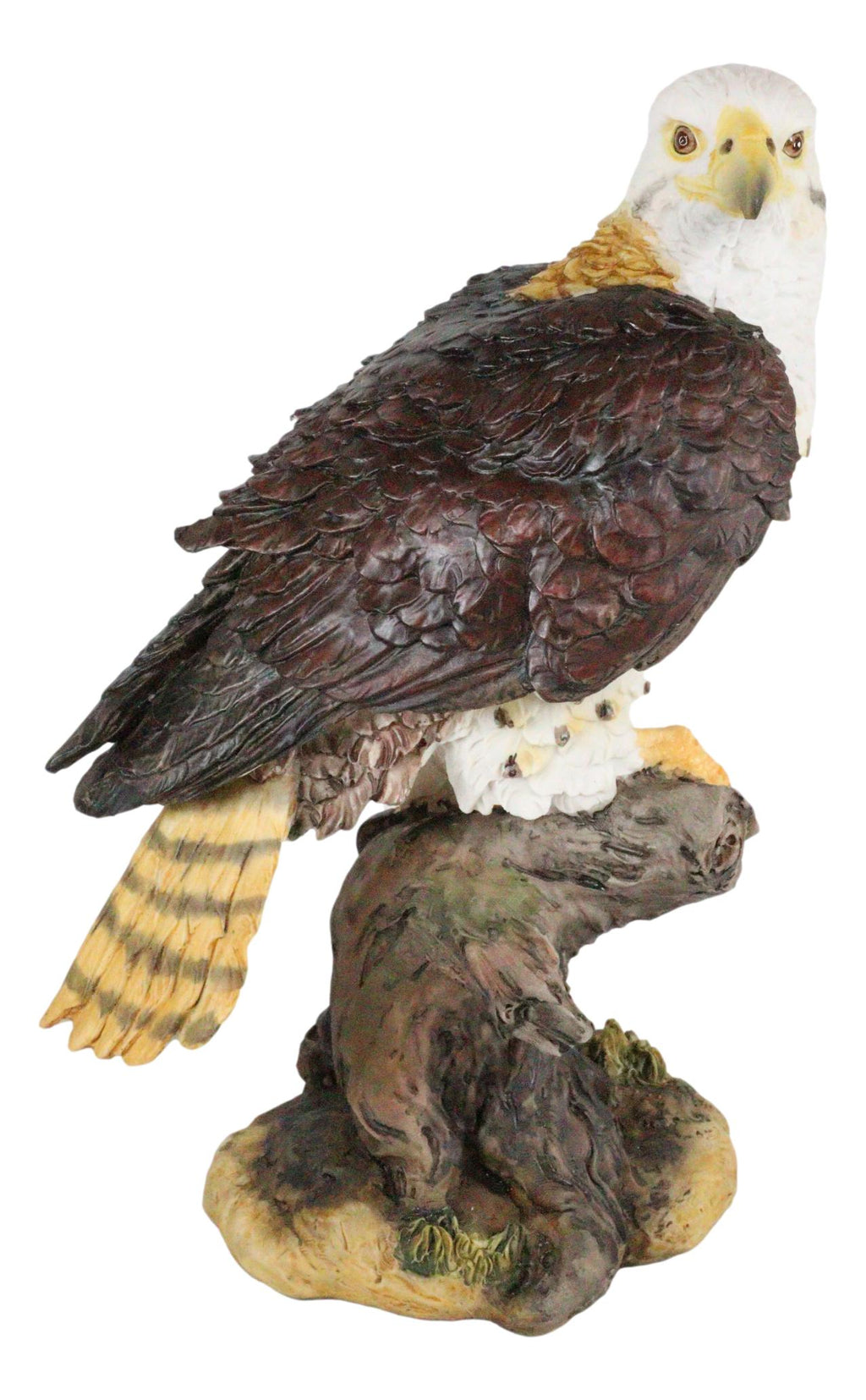 Ebros Wildlife Red Tailed Hawk On Tree Stump Statue Birds Of Prey Figu–  Ebros Gift