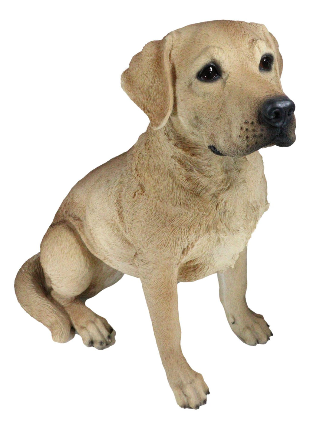 Green Bay Packers Yellow Labrador Statue Officially Licensed by NFL