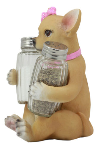 Ebros Bonita Pretty In Pink Girl Chihuahua Dog Salt And Pepper