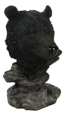 Western Rustic Wildlife Forest Black Bear Bust Figurine with Rocky Steppes Stand