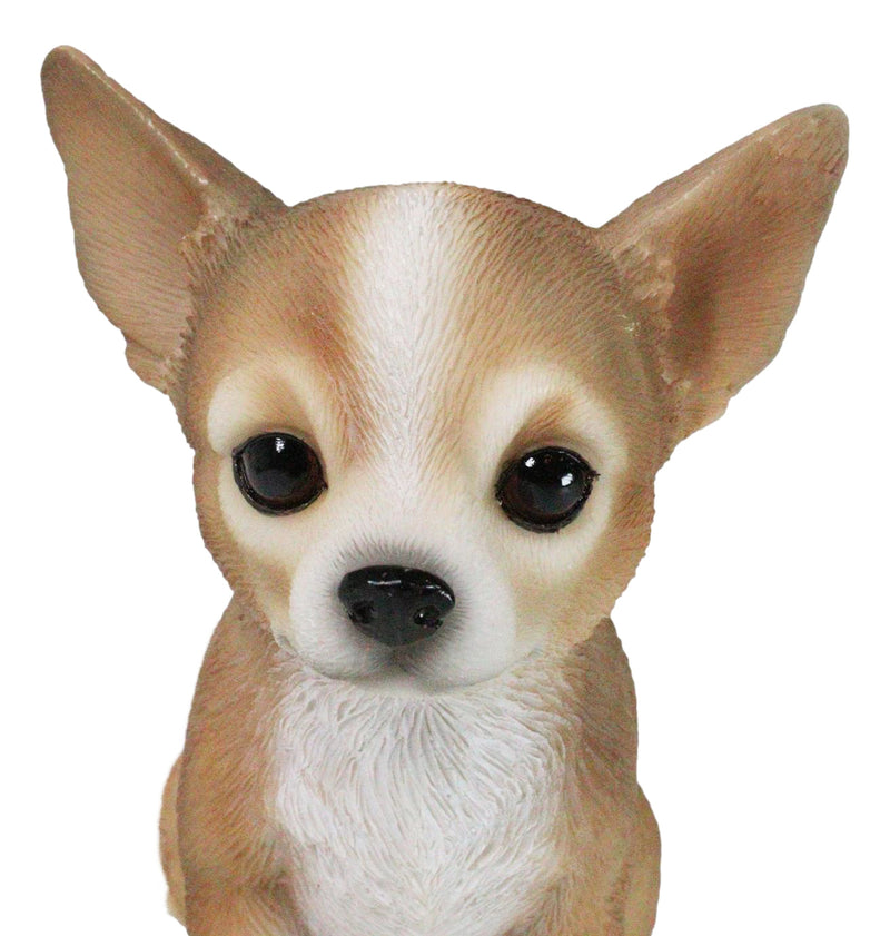 Lifelike Adorable Deer Head Chihuahua Dog Puppy Sitting Home Decor Figurine