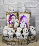 12 Mini Snow White Owls On Pentagram Spell Books With Secret Caverns LED Display