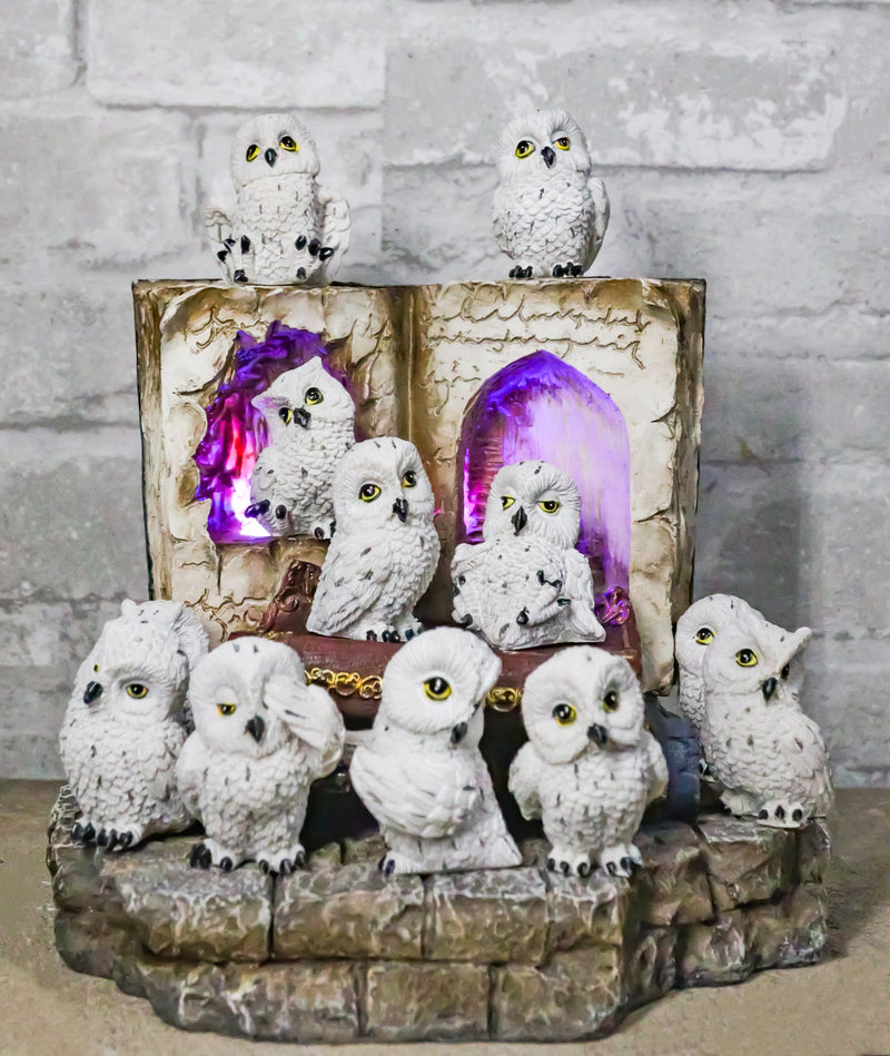 12 Mini Snow White Owls On Pentagram Spell Books With Secret Caverns LED Display