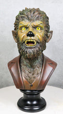 Underworld Gothic Werewolf Lycan Beast Wolfman Portrait Head Bust Figurine