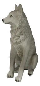 Cries Of The Night Sitting Alpha Grey Direwolf Wolf Home Decor Figurine 6"H