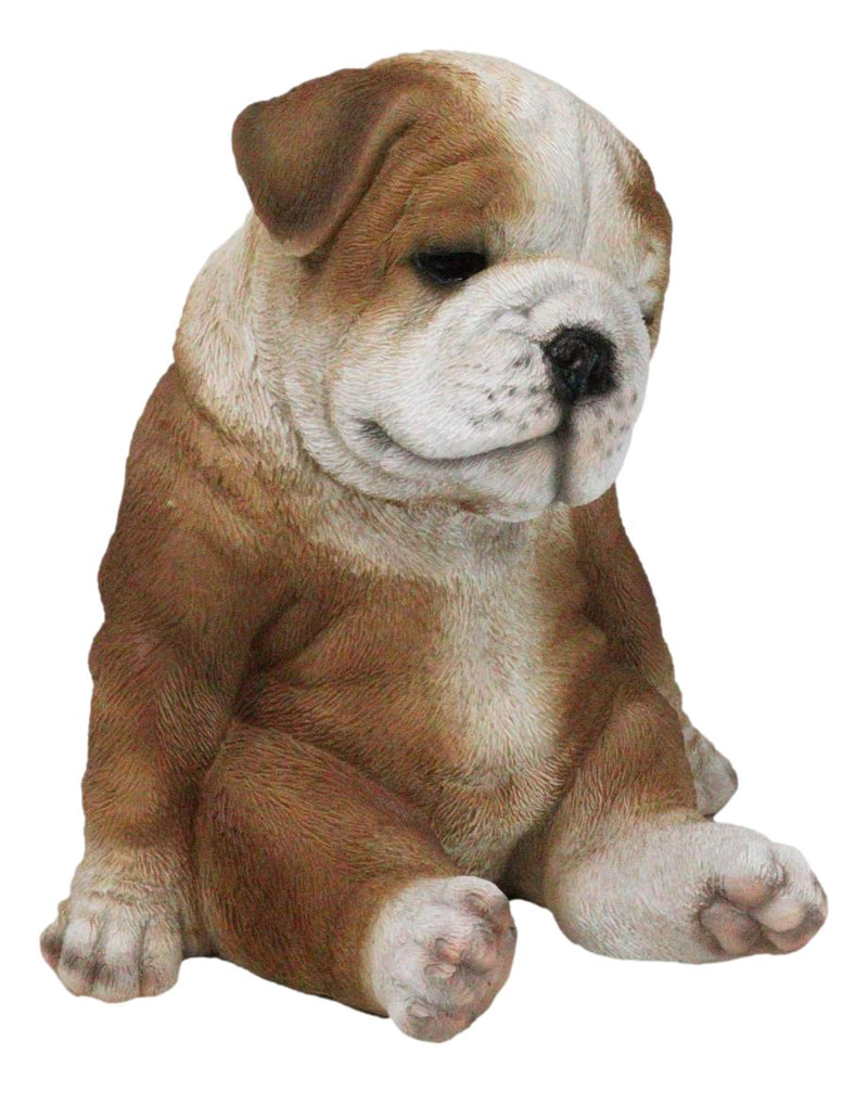 American Pedigree Dogs Lifelike Bulldog Puppy Dog Laid Back Sitting Figurine