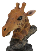 Safari African Savannah Masai Giraffe Head Bust On Rock Steppe Figurine