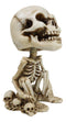 Gothic Macabre Grinning Grave Squatter Skeleton Skull Bobblehead Figurine