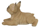 Sitting Realistic Adorable French Bulldog Puppy Dog Frenchie Figurine 8.25"L