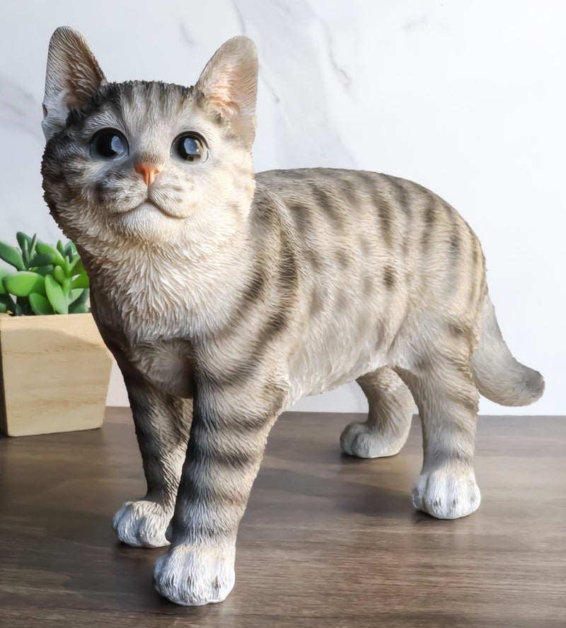Ebros Lifelike Sitting Grey Tabby Cat Statue 6.75 Tall with Glass Eyes  Hand Painted Realistic Feline Kitten Cat Decor Figurine