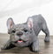 Realistic Adorable Grey French Bulldog Puppy Dog Crouching Frenchie Figurine