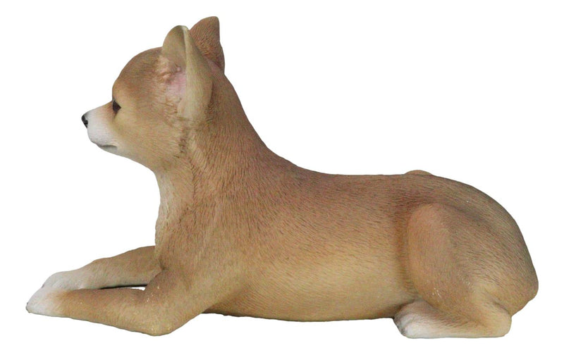 Realistic Shorthair Deer Head Chihuahua Dog Figurine With Glass Eyes 11"Long