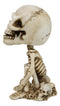 Gothic Macabre Grinning Grave Squatter Skeleton Skull Bobblehead Figurine