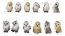 Forest Tree Steppes LED Display Stand With 12 Colorful Miniature Owls Figurines