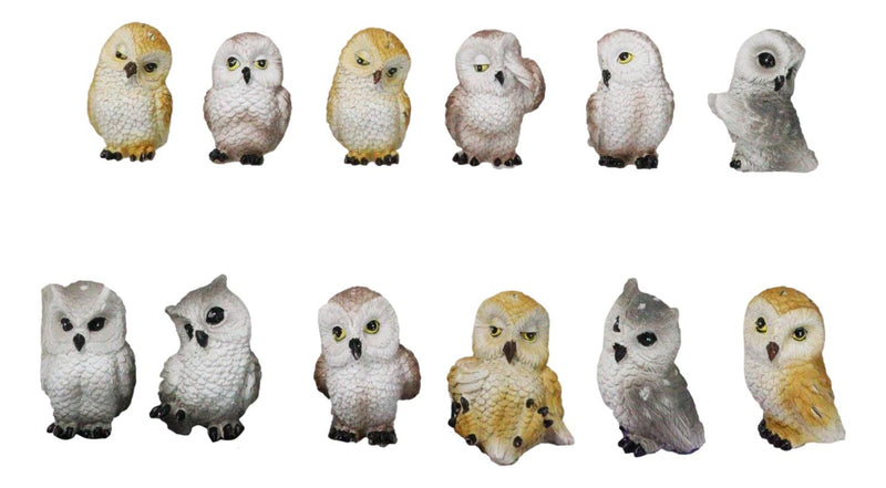 Forest Tree Steppes LED Display Stand With 12 Colorful Miniature Owls Figurines