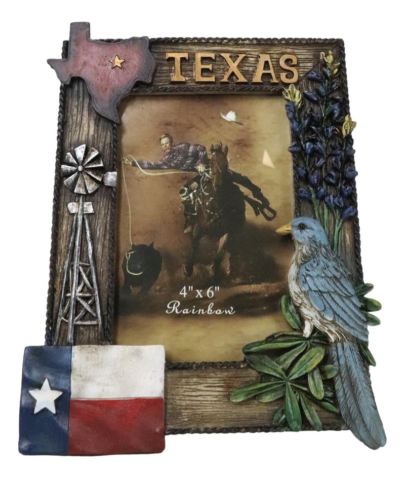 Rustic Western Patriotic Texas Mockingbird Windmill Bluebonnets Picture Frame