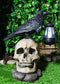 Ebros Edgar Corvus Raven Perching On Rose Skull Statue With Solar LED Lantern Light