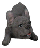 Realistic Adorable Grey French Bulldog Puppy Dog Crouching Frenchie Figurine