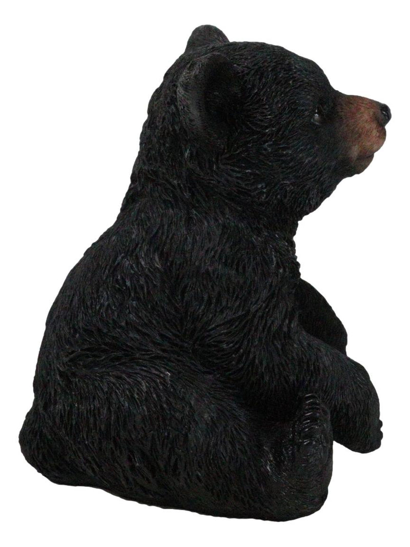 Rustic Western Forest Wonders Sitting Baby Black Bear Cub Whimsical Figurine