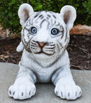 Realistic White Alaskan Siberian Tiger Cub Crouching Decorative Statue 12"L