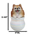 Pet Pomeranian Pom Pom Teacup Puppy Dog Figurine With Glass Eyes Pup In Pot