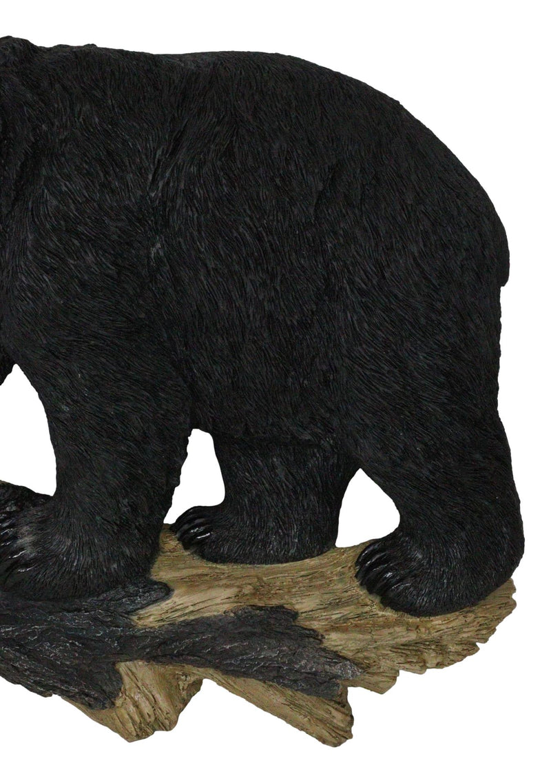 Large Rustic Western Wildlife Black Bear On Tree Branch Wall Sculpture 21"L