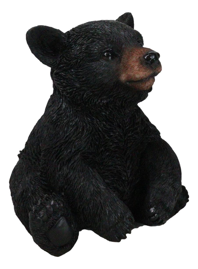 Rustic Western Forest Wonders Sitting Baby Black Bear Cub Whimsical Figurine