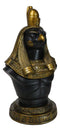 Egyptian God of The Sky Horus Ra Bust Decorative Box With Hieroglyphic Base