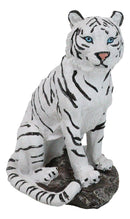 Rainforest Jungle Apex Predator White Bengal Tiger Sitting On Rock Figurine