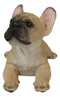 Sitting Realistic Adorable French Bulldog Puppy Dog Frenchie Figurine 8.25"L