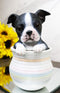 Black White Tuxedo Boston Terrier Puppy Dog Figurine With Glass Eyes Pup In Pot