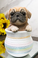 Realistic Puggy Pug Puppy Dog Figurine With Glass Eyes Pup In Pot Collection