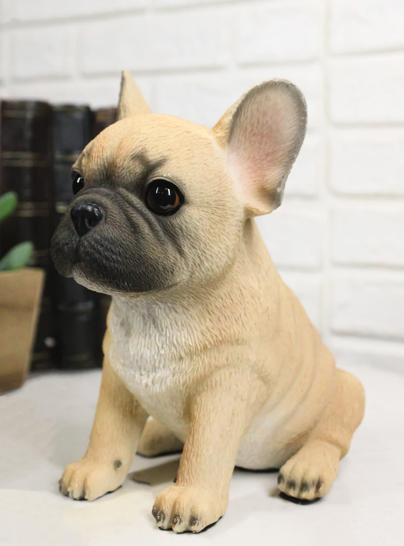 Realistic Adorable Fawn French Bulldog Puppy 6"H Cute Frenchie Dog Figurine