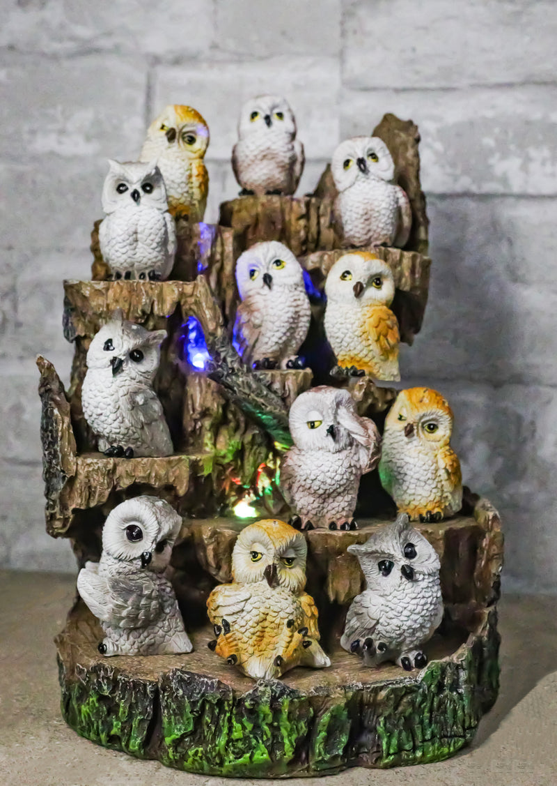 Forest Tree Steppes LED Display Stand With 12 Colorful Miniature Owls Figurines