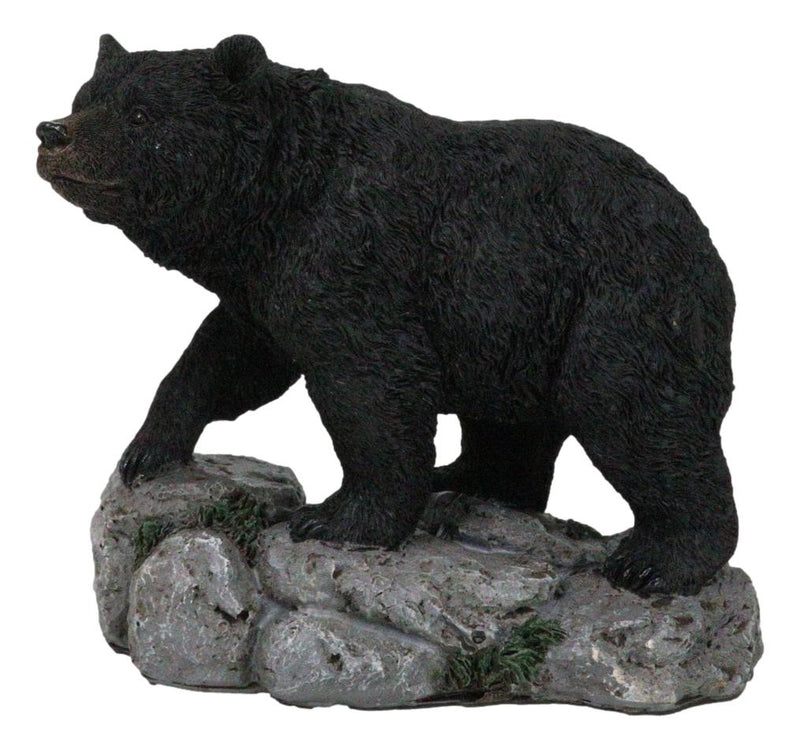 Rustic Wildlife Forest Black Bear Walking On River Rock Steppes Figurine