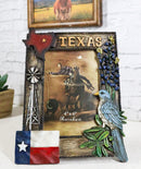 Rustic Western Patriotic Texas Mockingbird Windmill Bluebonnets Picture Frame