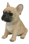 Realistic Adorable Fawn French Bulldog Puppy 6"H Cute Frenchie Dog Figurine