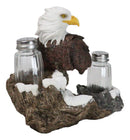 American Bald Eagle On Snowy Tree Branch Rock Cliff Salt Pepper Shakers Holder