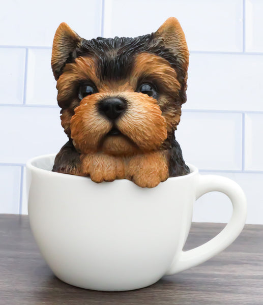 Realistic Adorable Yorkie Dog in Teacup Statue 6