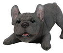 Realistic Adorable Grey French Bulldog Puppy Dog Crouching Frenchie Figurine