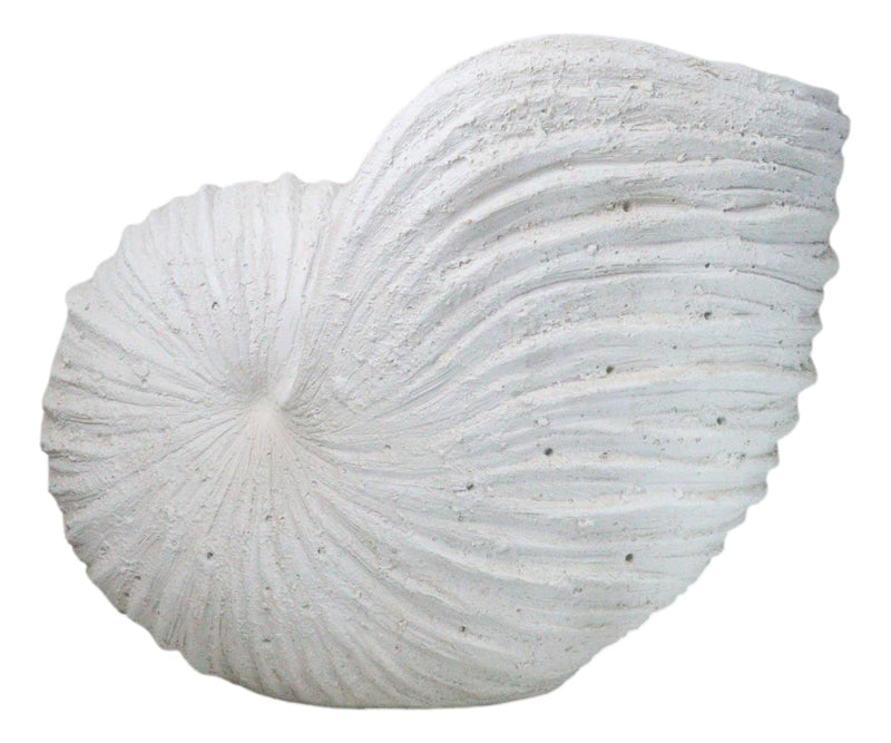 18.5"L White Nautical Marine Ocean Giant Nautilus Sea Shell Decorative Sculpture