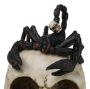 Halloween Macabre Gothic King Scorpion Demoniac On Skull Figurine