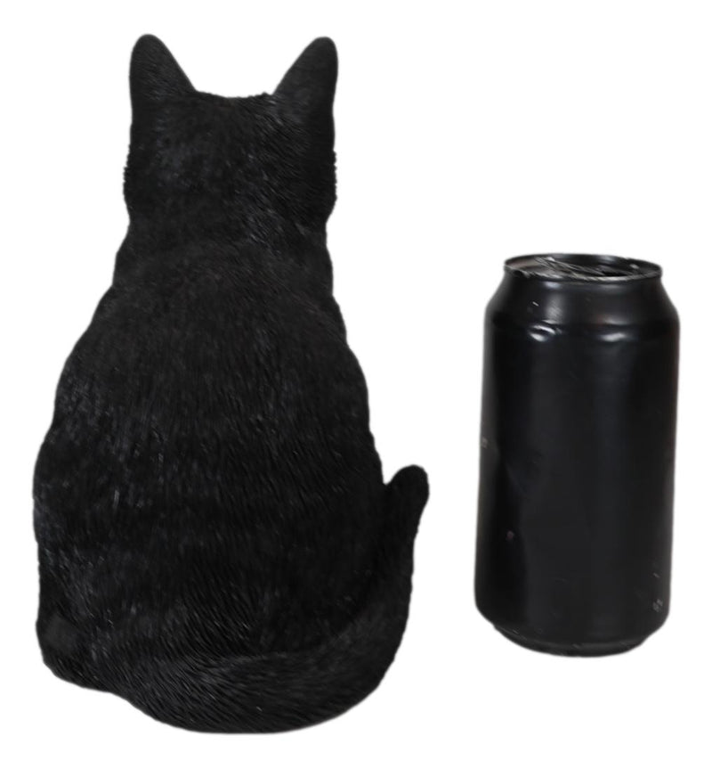 Witch's Pet Realistic Mystical Black Kitty Cat Kitten Sitting Figurine 8"H