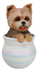 Yorkie Yorkshire Terrier Teacup Puppy Dog Figurine With Glass Eyes Pup In Pot