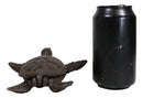 Rustic Cast Iron Sea Turtle Decorative Secret Key Concealer Trinket Box Figurine