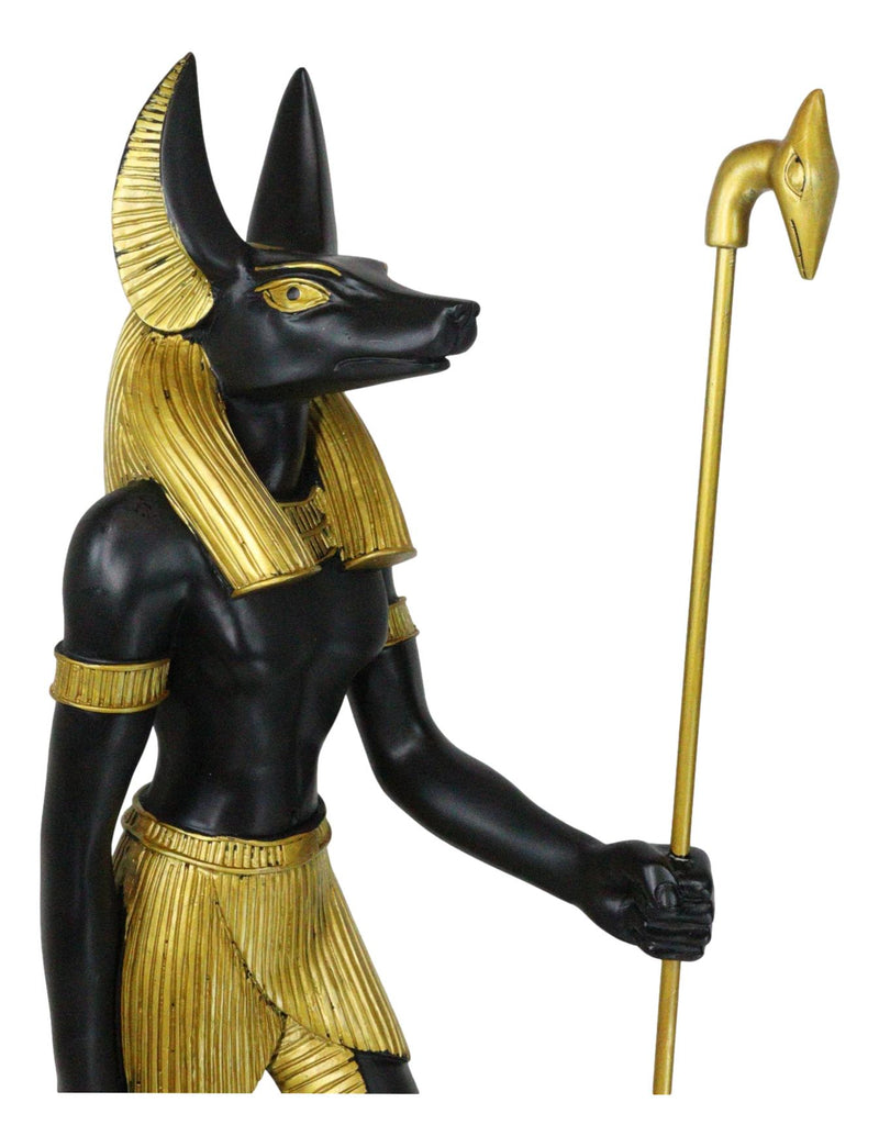 Large Egyptian God Of The Dead Mummification Anubis With Was Staff Statue 21.5"H